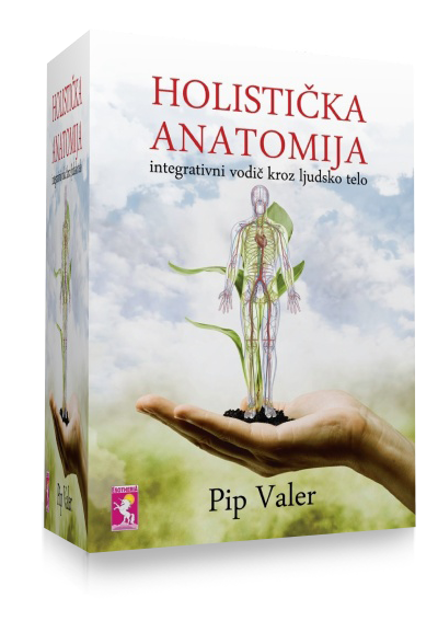 Holistička anatomija