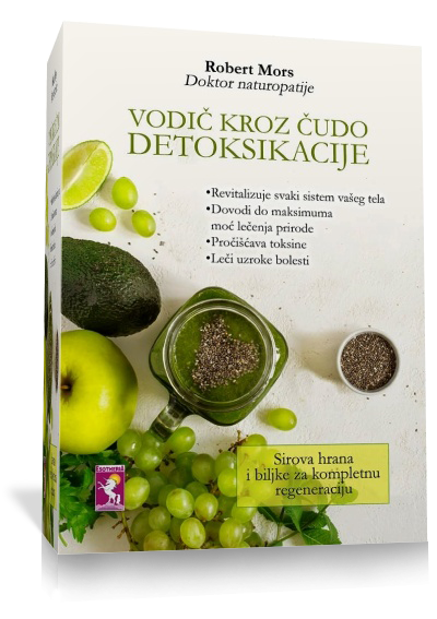 Vodič kroz čudo detoksikacije